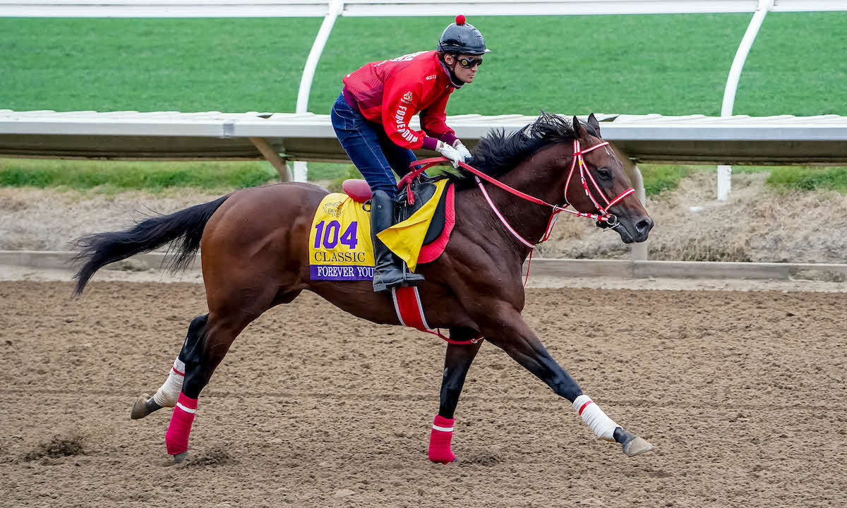 26日朝のフォーエバーヤング（C）Shamela Hanley／Eclipse Sportswire／Breeders Cup