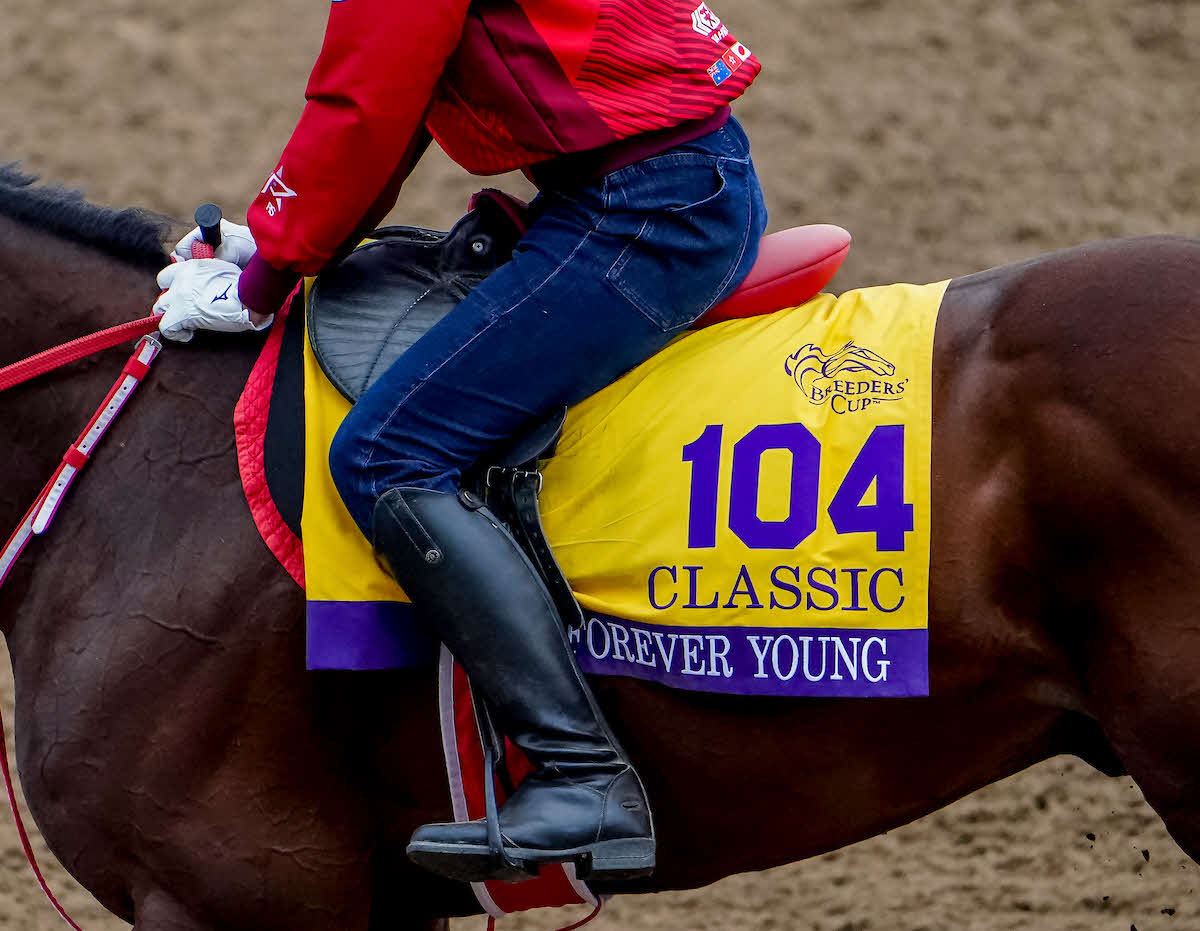 26日朝のフォーエバーヤング（C）Shamela Hanley／Eclipse Sportswire／Breeders Cup