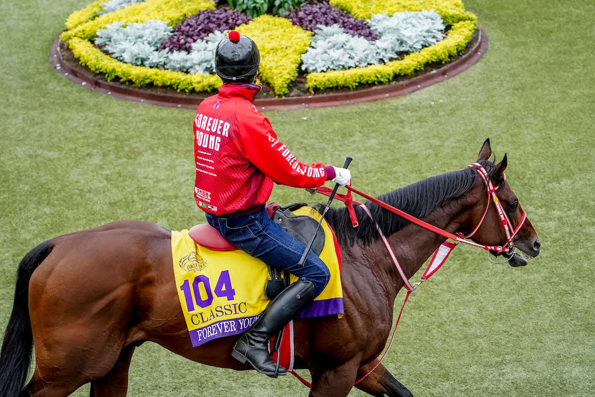 26日朝のフォーエバーヤング（C）Shamela Hanley／Eclipse Sportswire／Breeders Cup