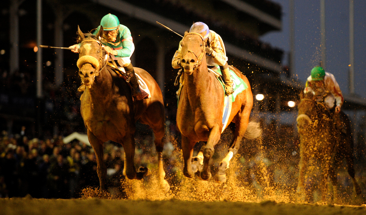10年BCクラシックを制したブレイム（右）（C）Breeders' Cup／Gary Mook 2010