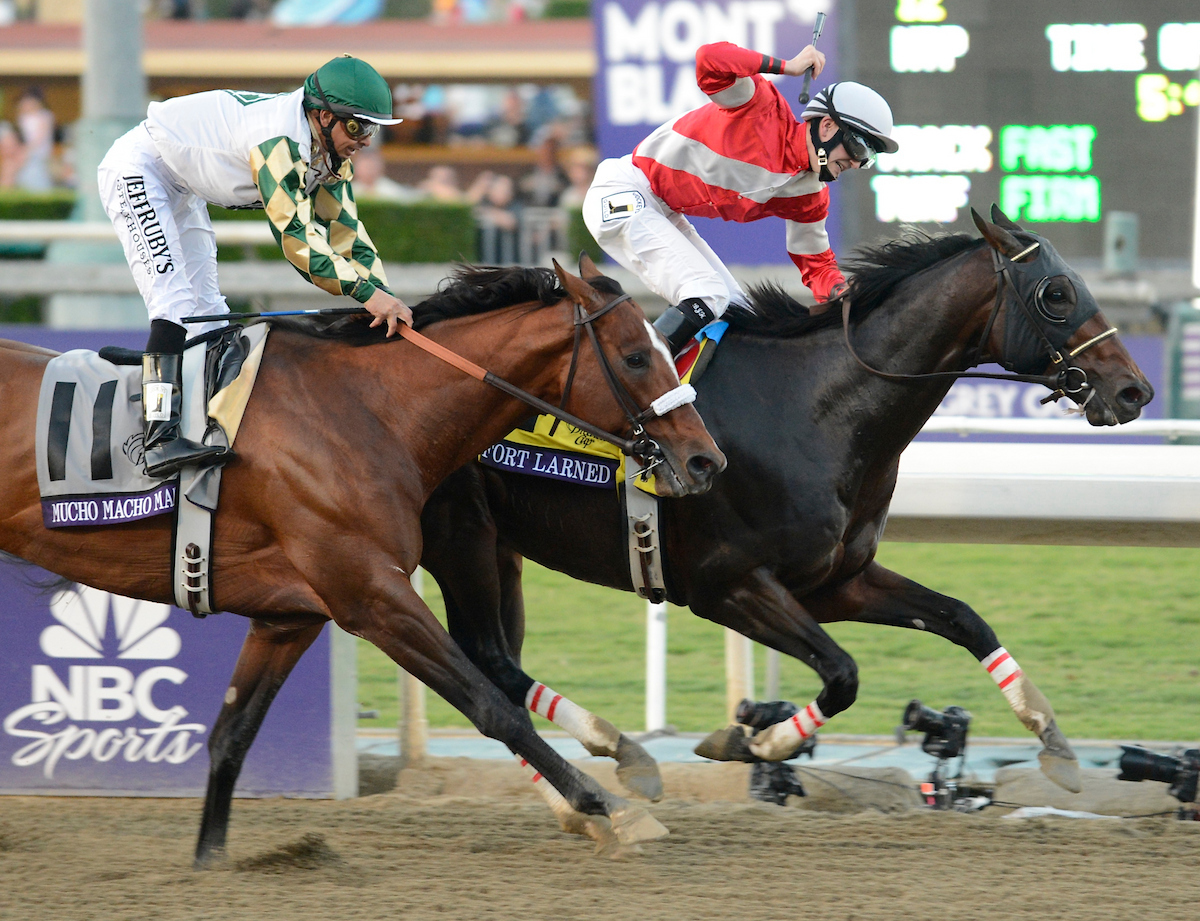 12年BCクラシックを制したフォートラーンド（C）Breeders' Cup／Sam English 2012