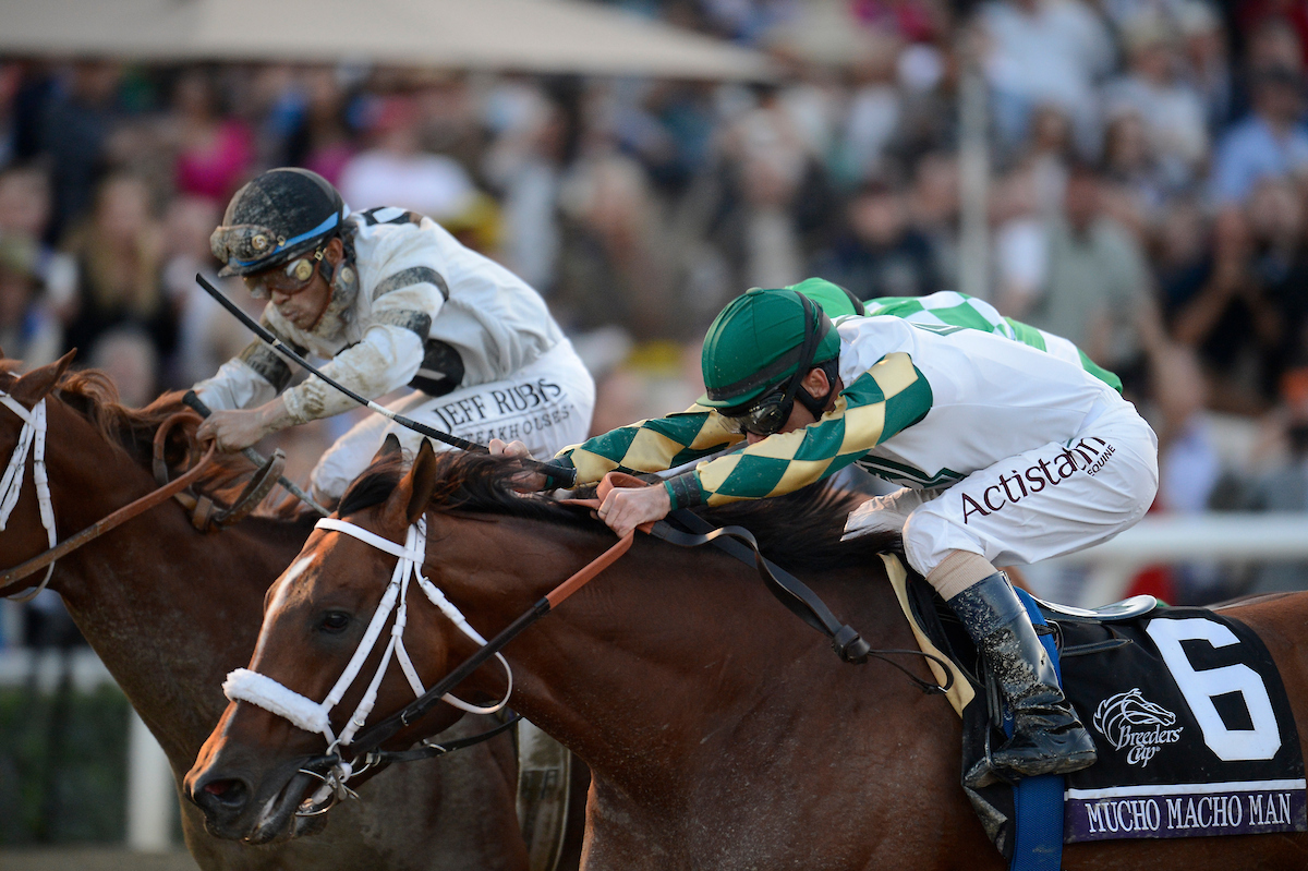 13年BCクラシックを制したムーチョマッチョマン（C）Breeders' Cup／Pat McDonogh 2013