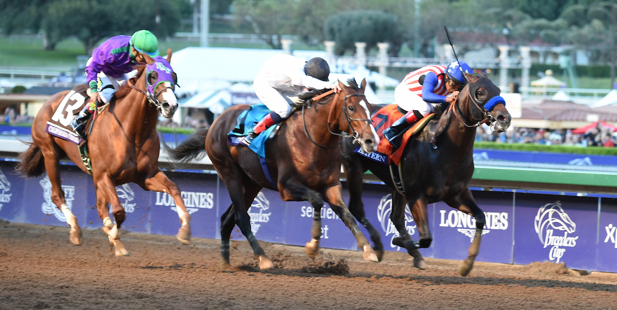 14年BCクラシックを制したバイエルン（右）（C）Breeders' Cup／Dan Dry 2014
