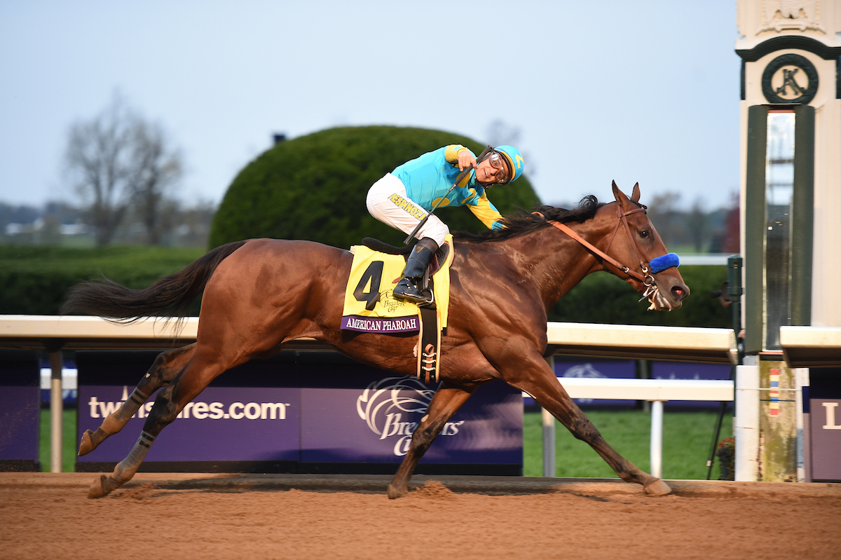 15年BCクラシックを制したアメリカンファラオ（C）Breeders' Cup／Weasie Gaines 2015