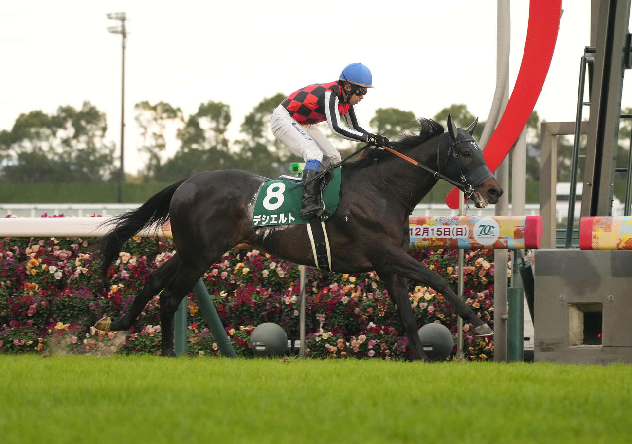 24年中日新聞杯を制したデシエルト