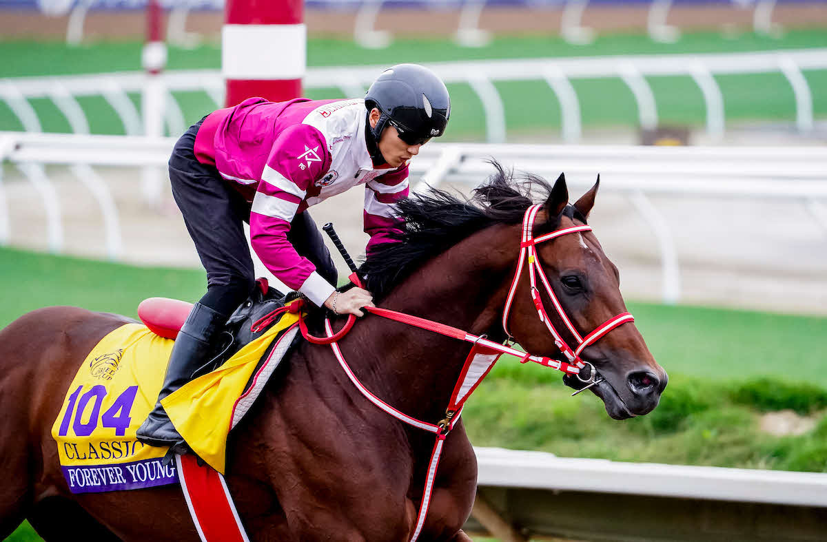 27日の坂井騎手とフォーエバーヤング（（C）Shamela Hanley／Eclipse Sportswire／Breeders Cup）