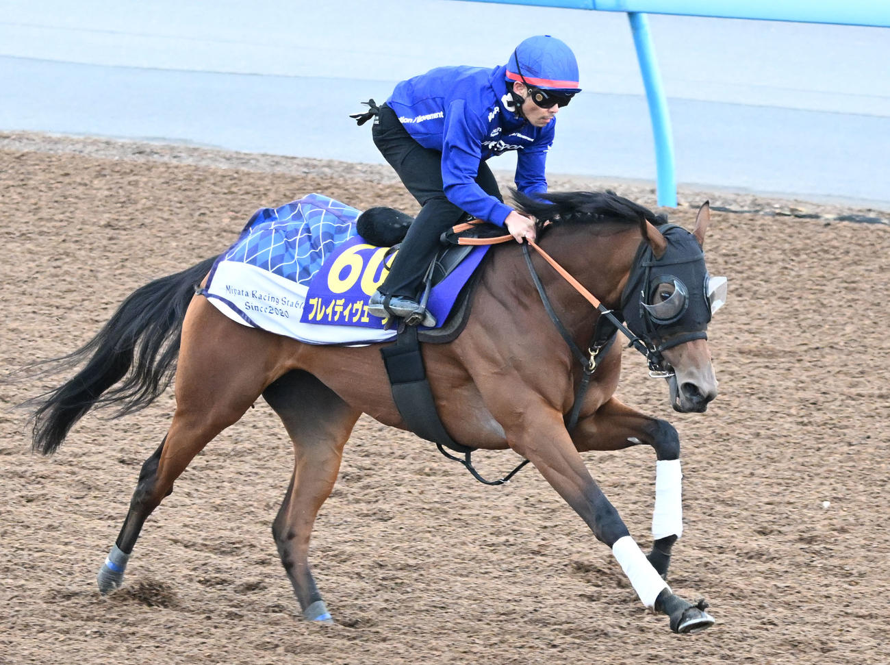 美浦ウッドを単走で追い切るブレイディヴェーグと戸崎騎手（撮影・千葉一成）