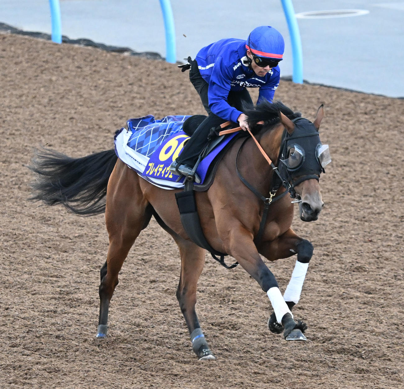 美浦ウッドを単走で追い切るブレイディヴェーグと戸崎騎手（撮影・千葉一成）