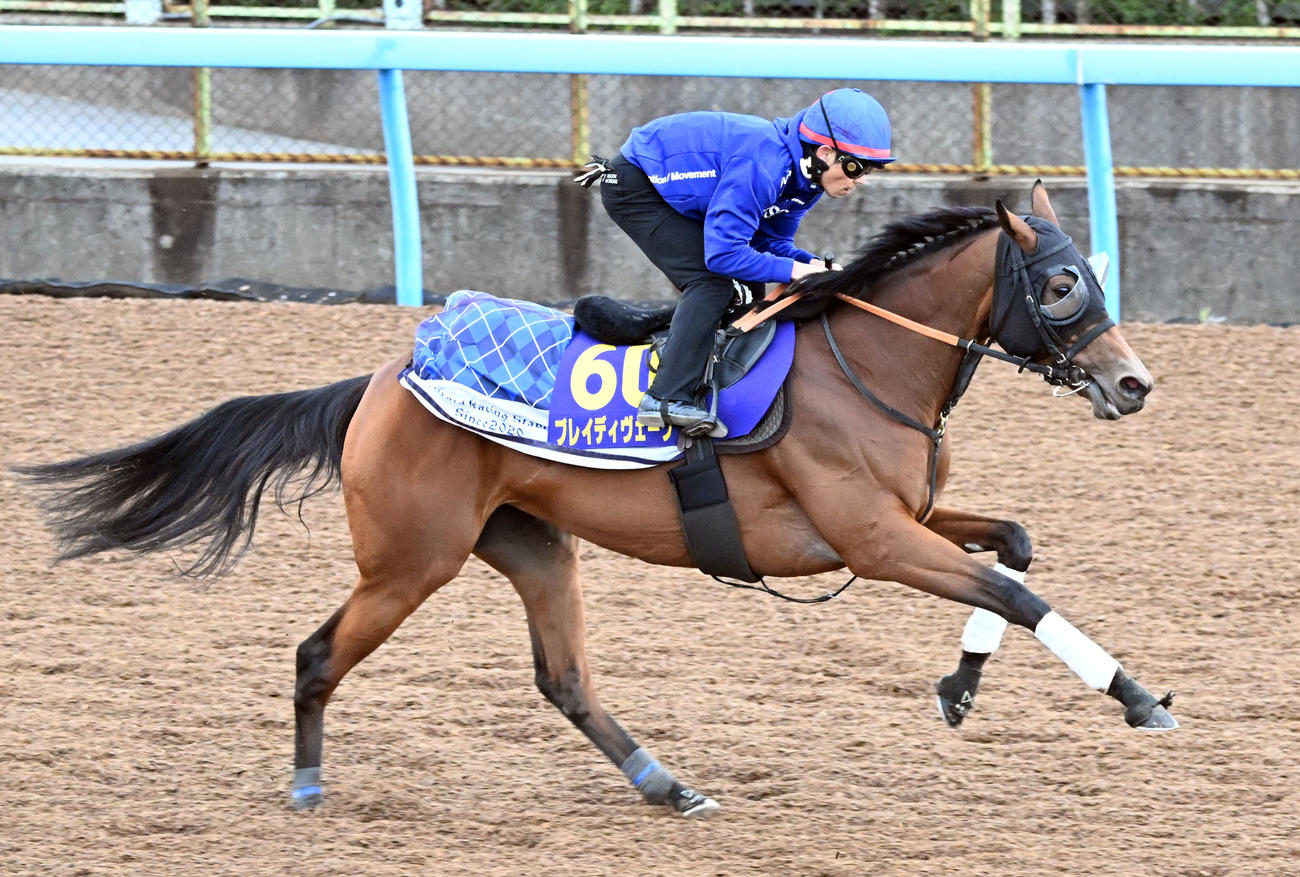 美浦ウッドを単走で追い切るブレイディヴェーグと戸崎騎手（撮影・千葉一成）