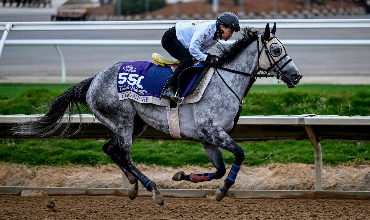 25日朝のフェブランシェと吉原騎手（C）Carlos J. Calo／Eclipse Sportswire／Breeders Cup