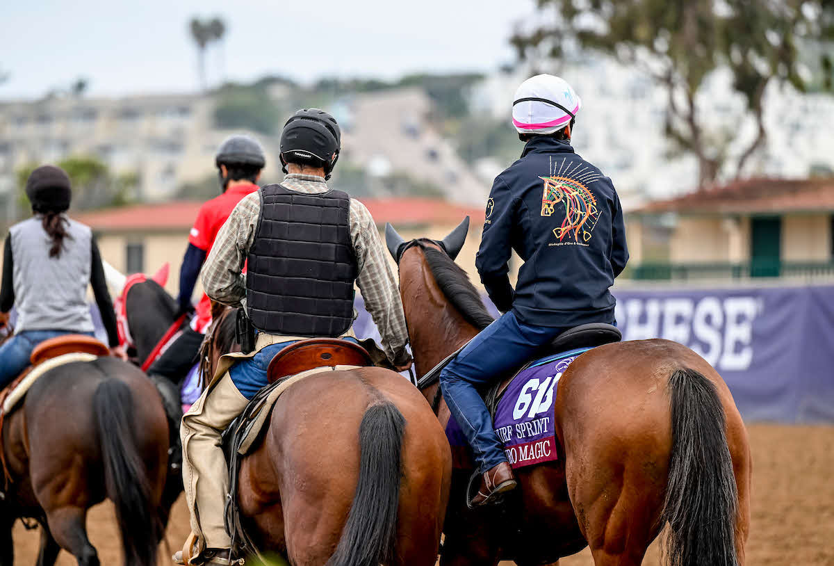 デルマーで調整するピューロマジック（C）Carlos J. Calo／Eclipse Sportswire／Breeders Cup