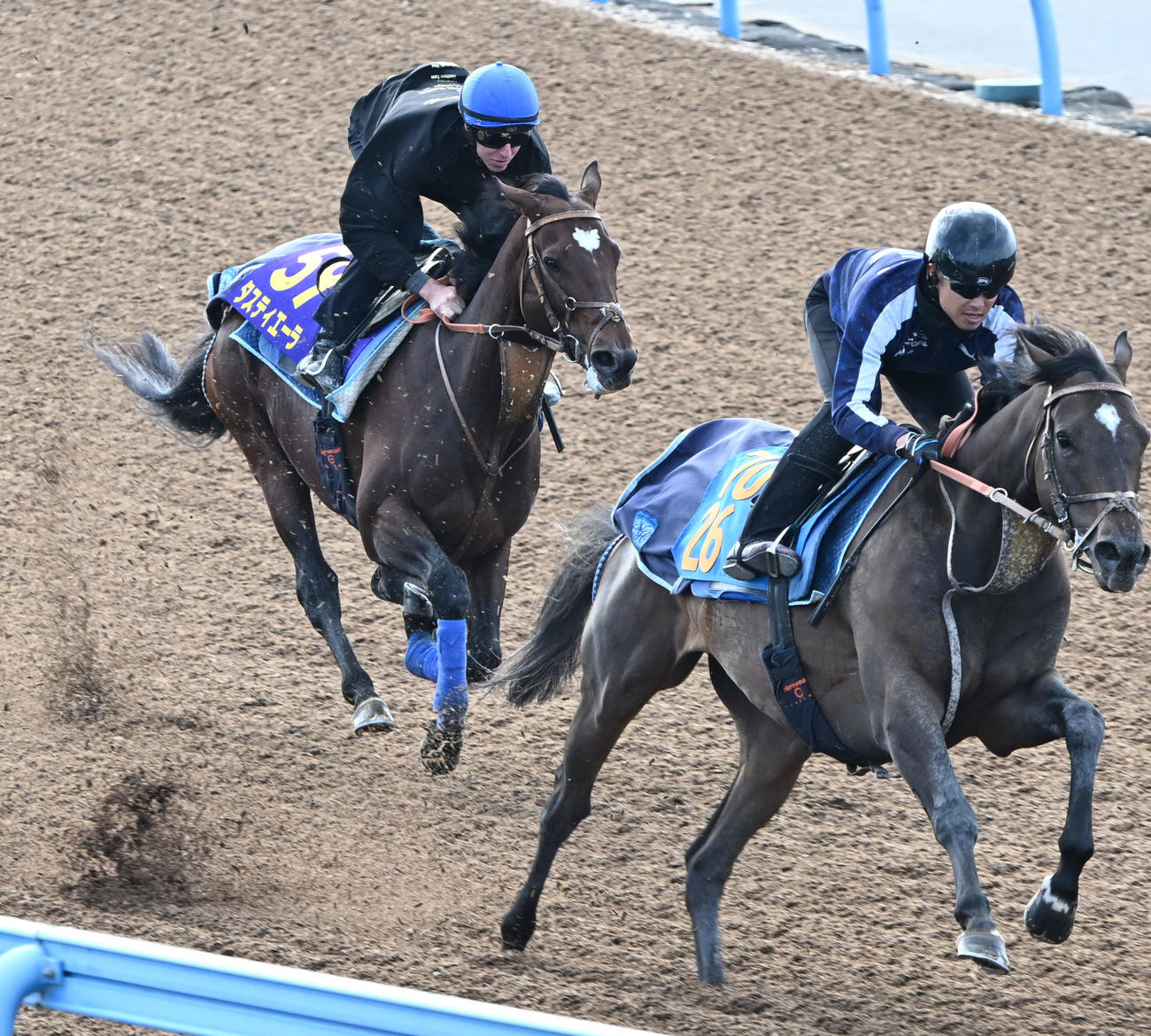 美浦ウッドを2頭併せて追い切るタスティエーラとレーン騎手（左）（撮影・千葉一成）