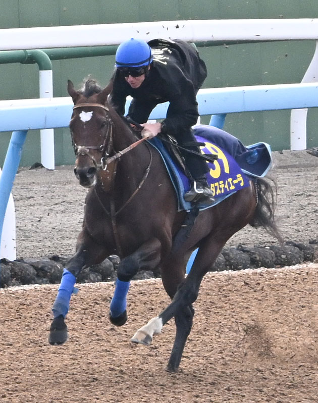 美浦ウッドを2頭併せて追い切るタスティエーラとレーン騎手（撮影・千葉一成）
