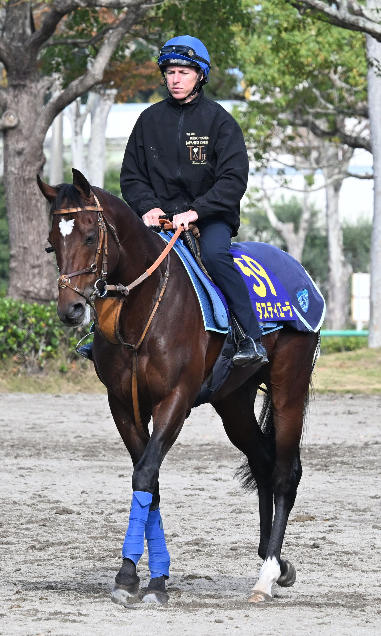 馬場に向かうタスティエーラとプーシャン騎手（撮影・千葉一成）