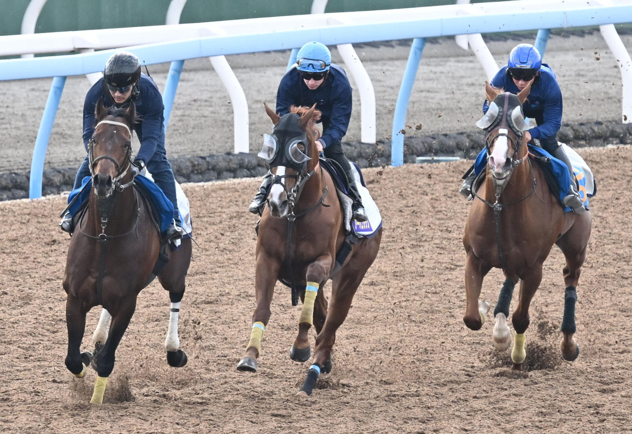 美浦ウッドを3頭併せて追い切るアーバンシックとプーシャン騎手（中央）（撮影・千葉一成）