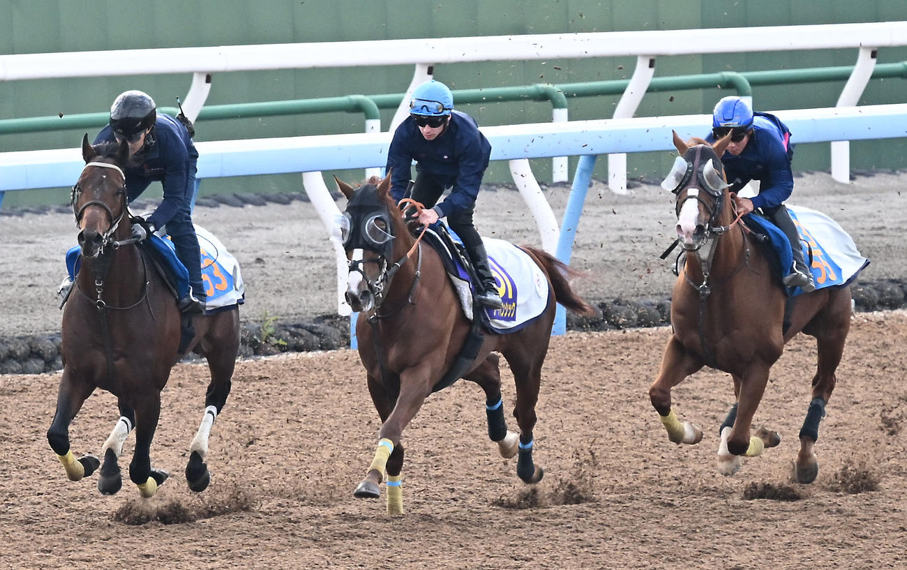 美浦ウッドを3頭併せて追い切るアーバンシックとプーシャン騎手（中央）（撮影・千葉一成）