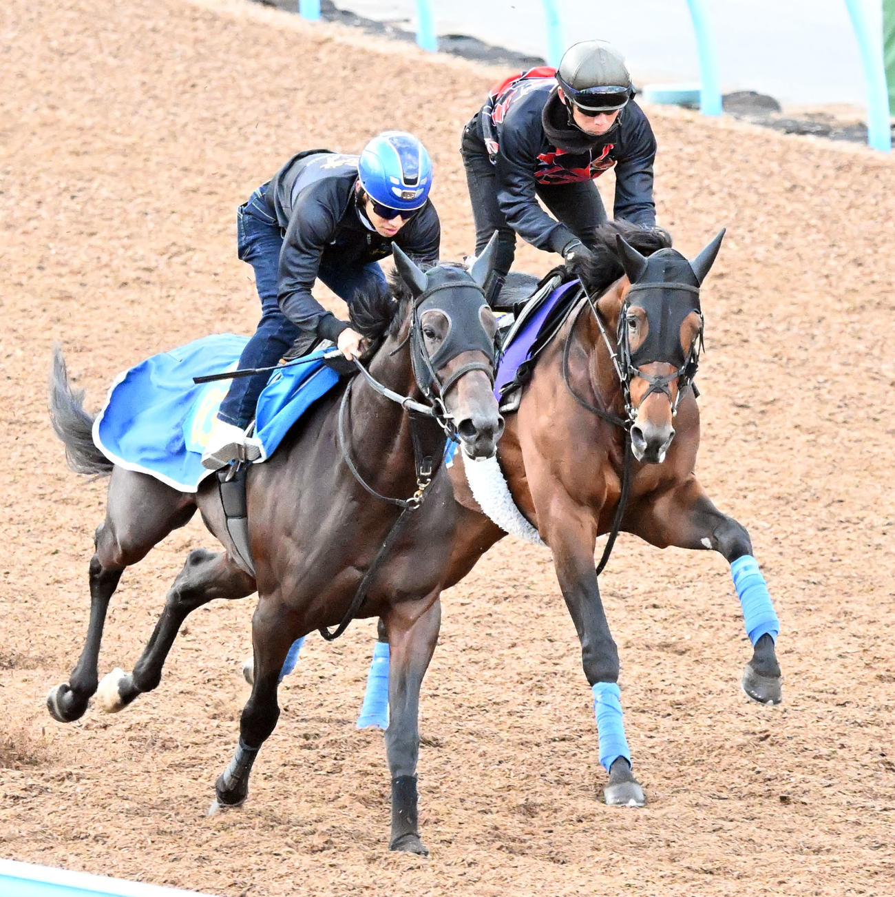 美浦ウッドを2頭併せて追い切るホウオウビスケッツ（右）（撮影・千葉一成）