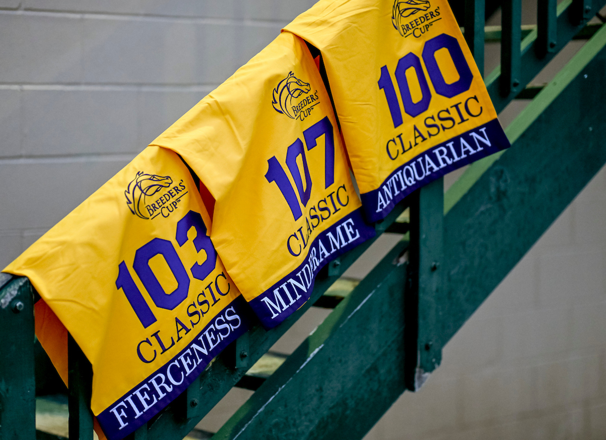フィアースネス、マインドフレームの調教ゼッケン(C)3003419//Eclipse Sportswire/Breeders Cup