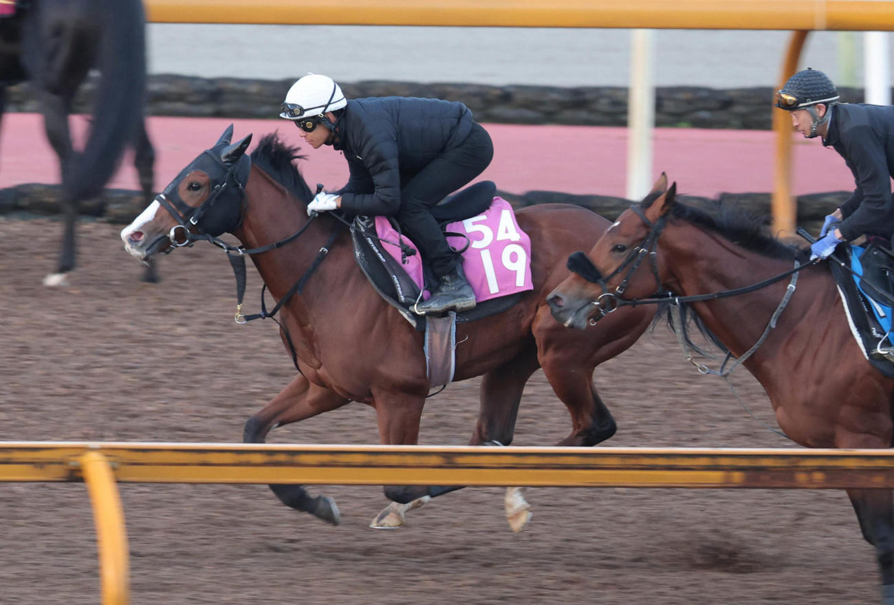 Cウッドで追い切られたブラックチャリス（左）