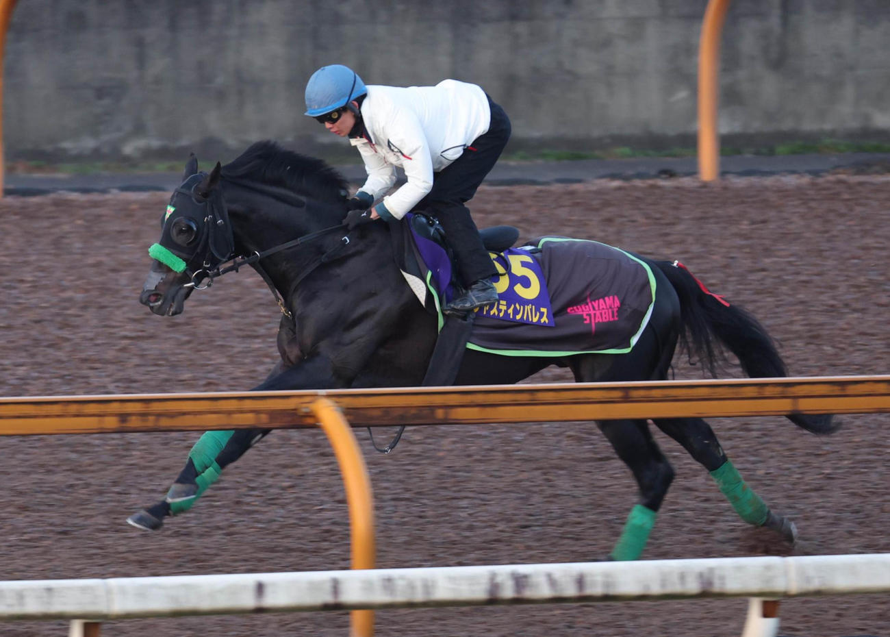 Cウッドを単走で追い切るジャスティンパレス