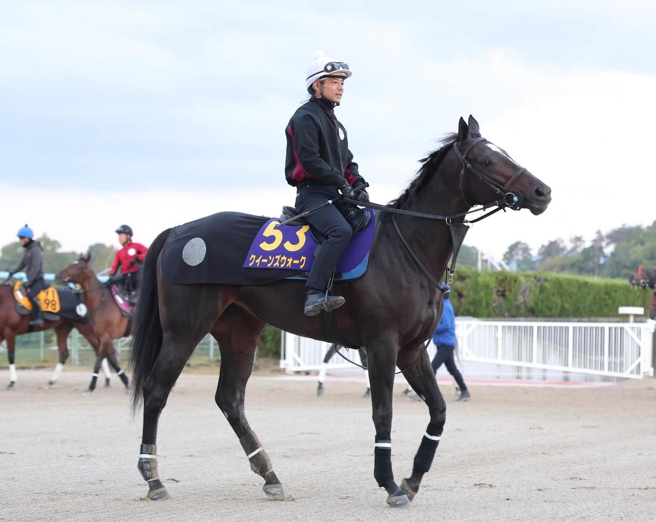 クイーンズウォークは中内田師を背に調教前に広場で輪乗りを行う