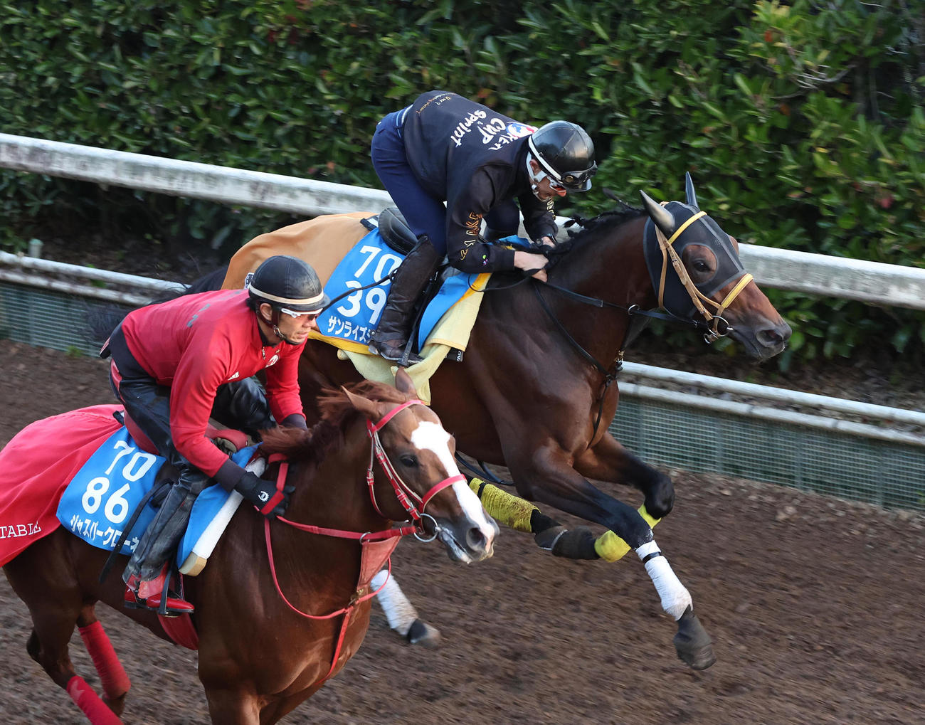坂路を単走で追い切るサンライズジパング（奥）（撮影・白石智彦）