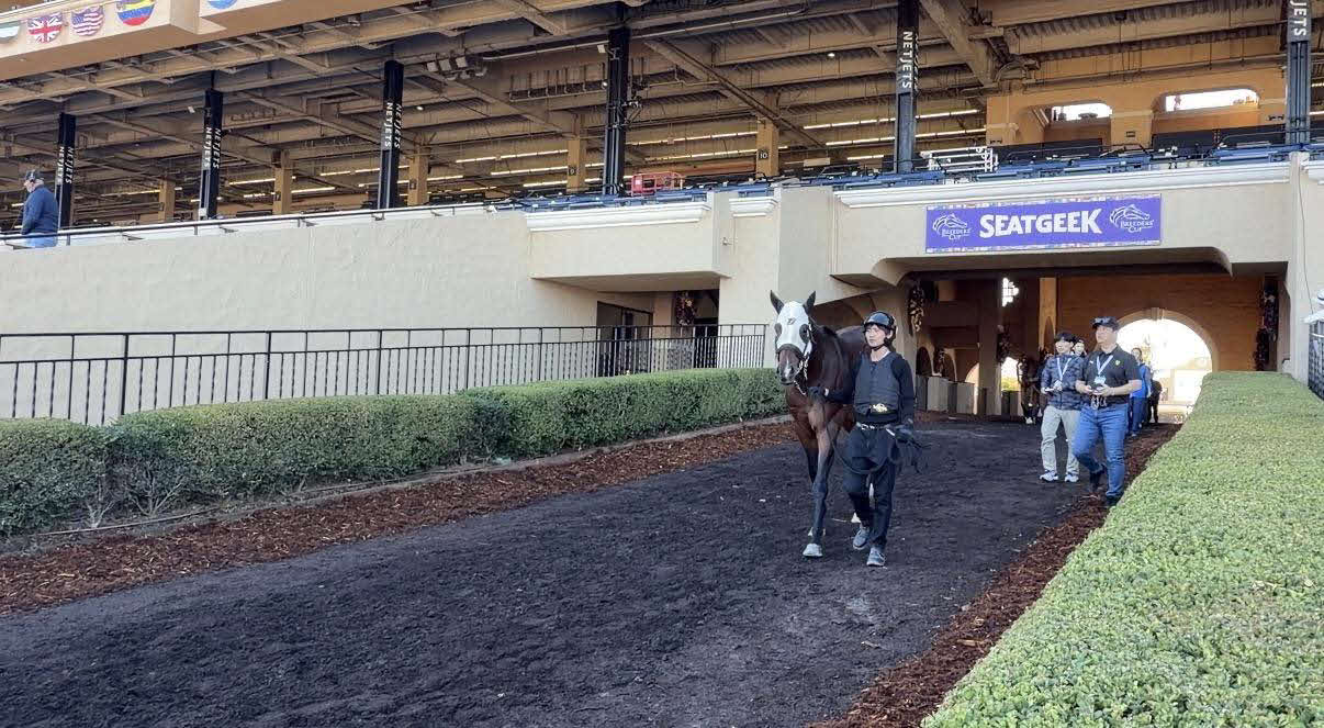 デルマー競馬場でスクーリングを行うインビンシブルパパ（伊藤大士調教師提供）