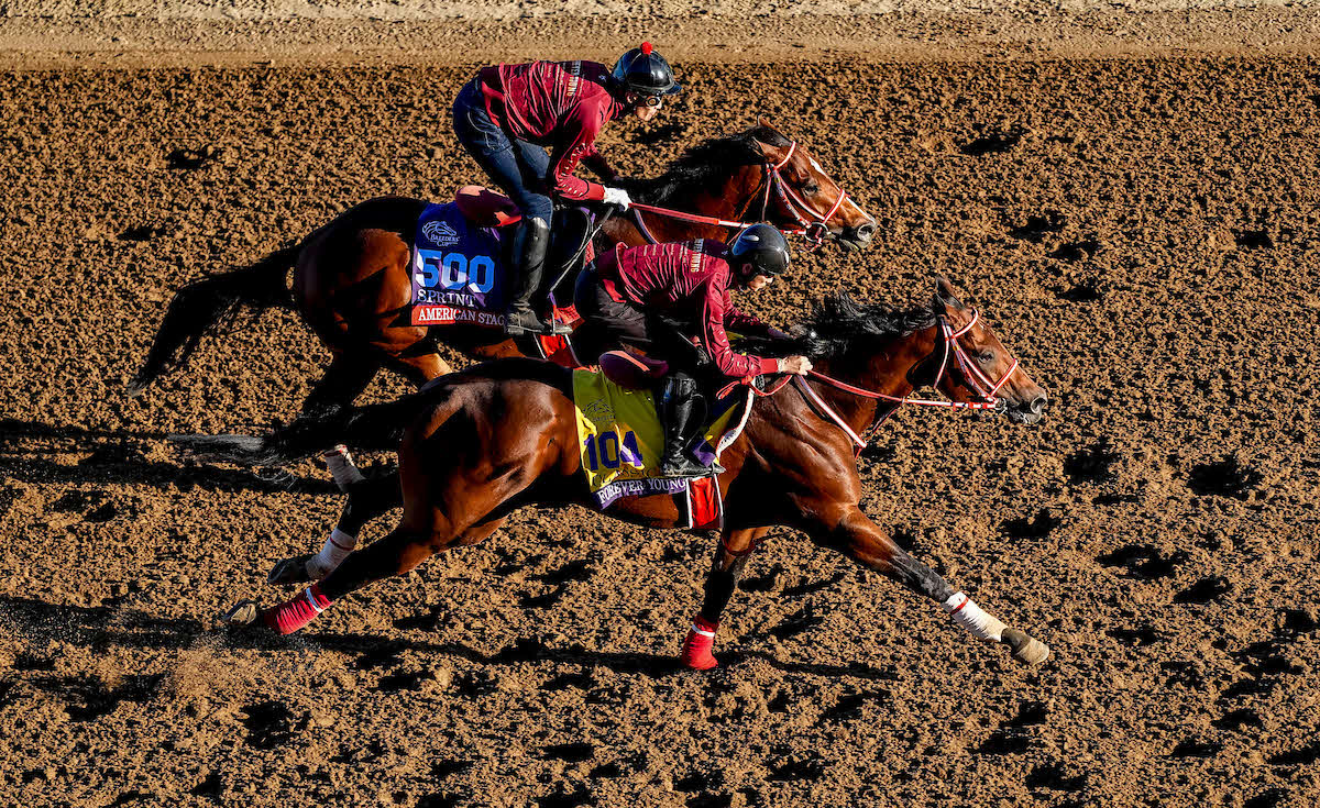 追い切るフォーエバーヤング（手前）（C）John　Voorhees／Eclipse　Sportswire／Breeders　Cup