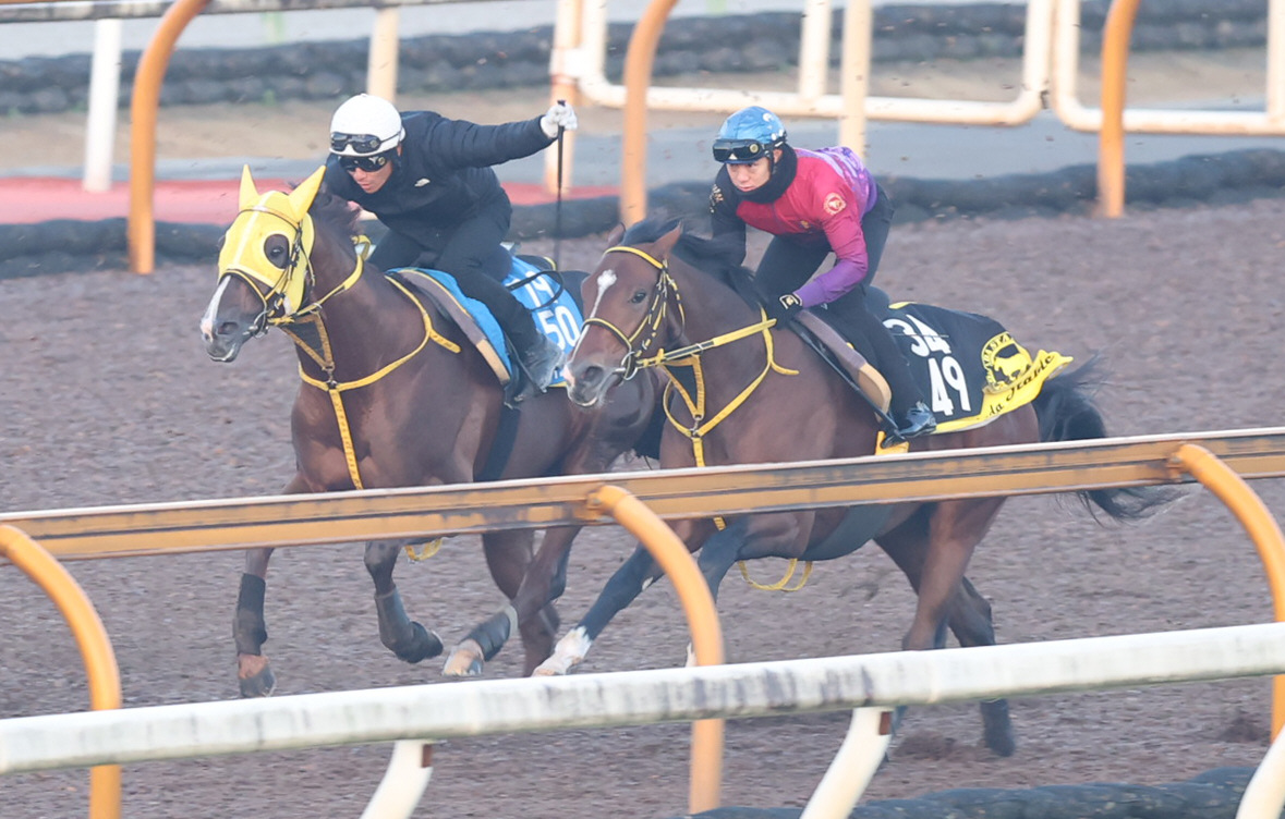 浜中騎手を背にCWコースにて併せ馬で追い切るメイショウハリオ