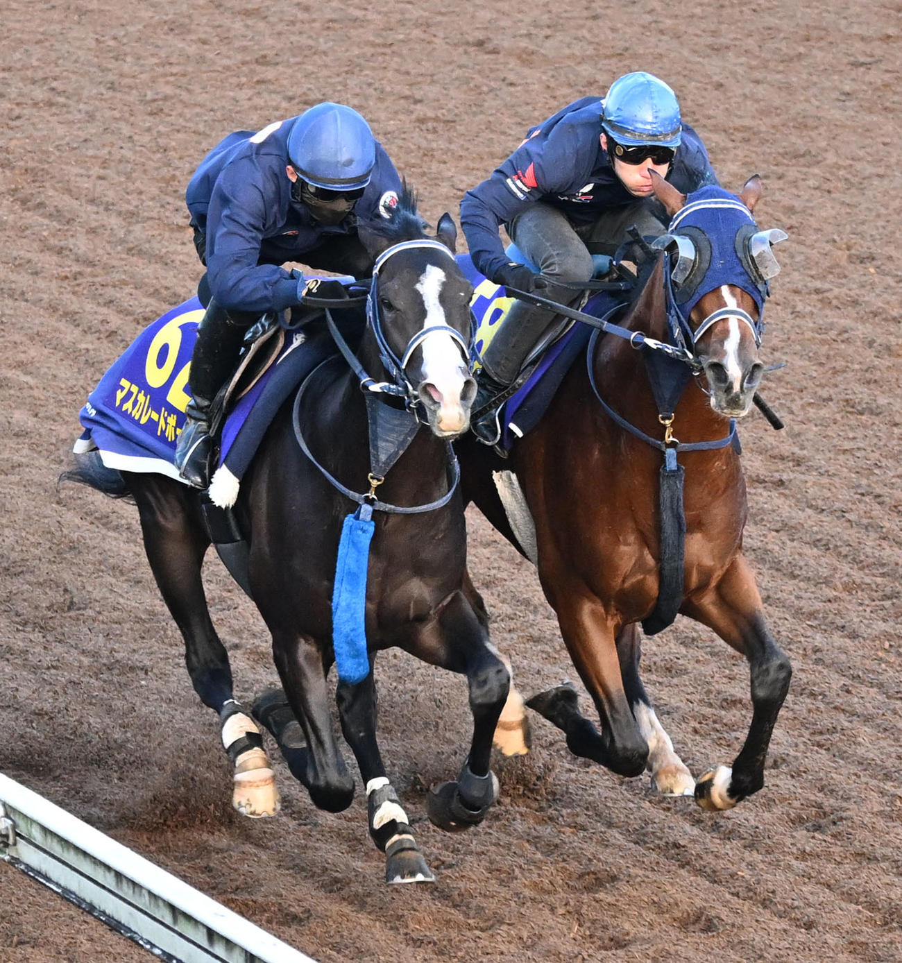 美浦坂路を3頭併せで追い切るマスカレードボール（左）とソールオリエンス（撮影・千葉一成）