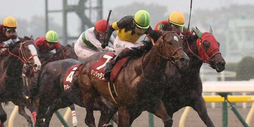 京王杯2歳Sを制したパンジャタワー=2024年11月2日