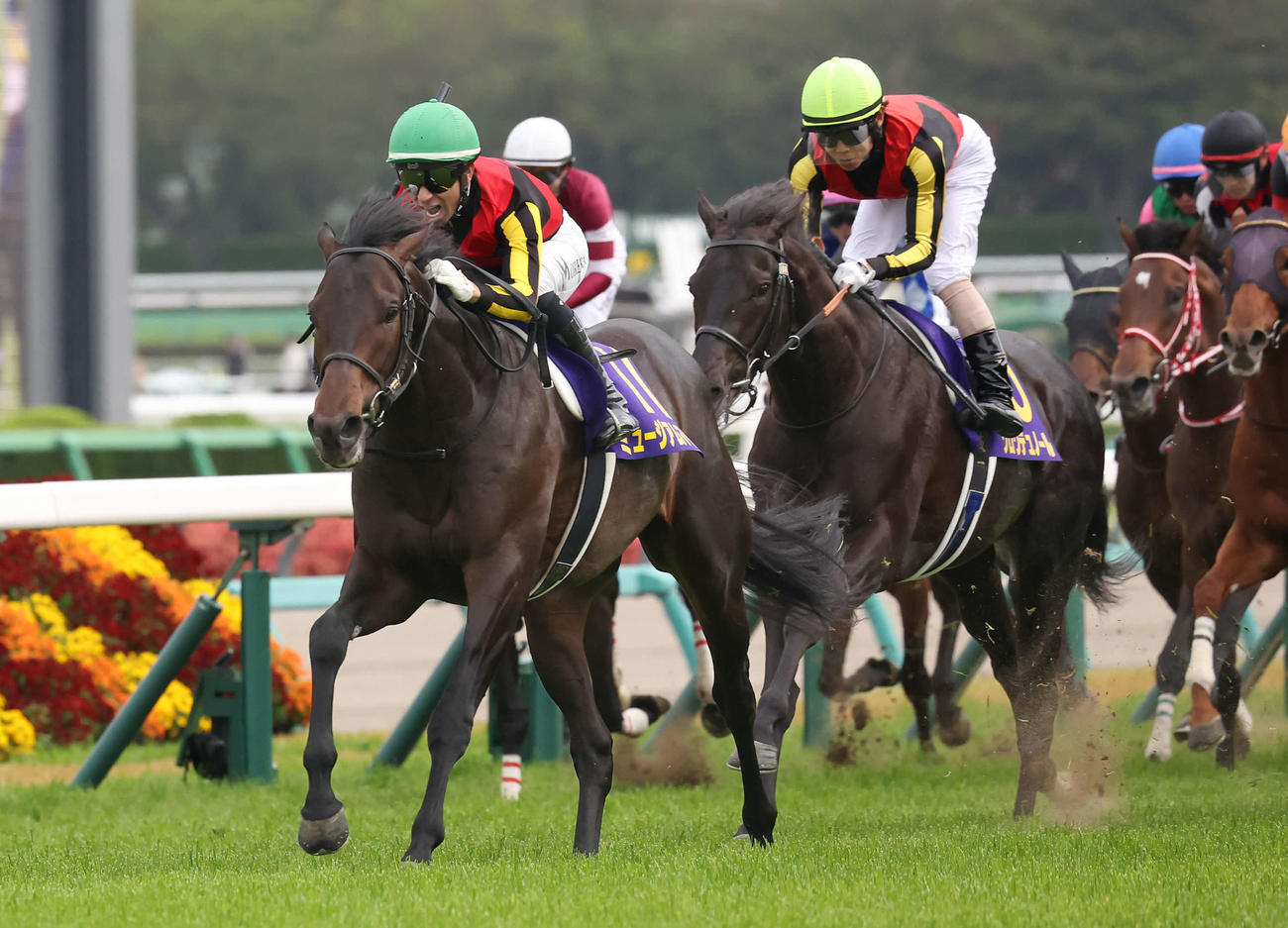 皐月賞を制したミュージアムマイル