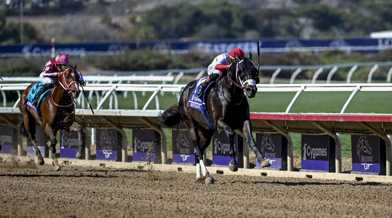 BCスプリントで4着のアメリカンステージ（左）（C）Carlos　J.Calo／Eclipse　Sportswire／Breeders　Cup