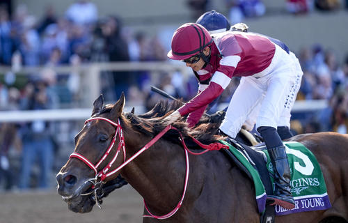 BC】日本馬出走レース結果一覧 フォーエバーヤングはクラシックで歴史
