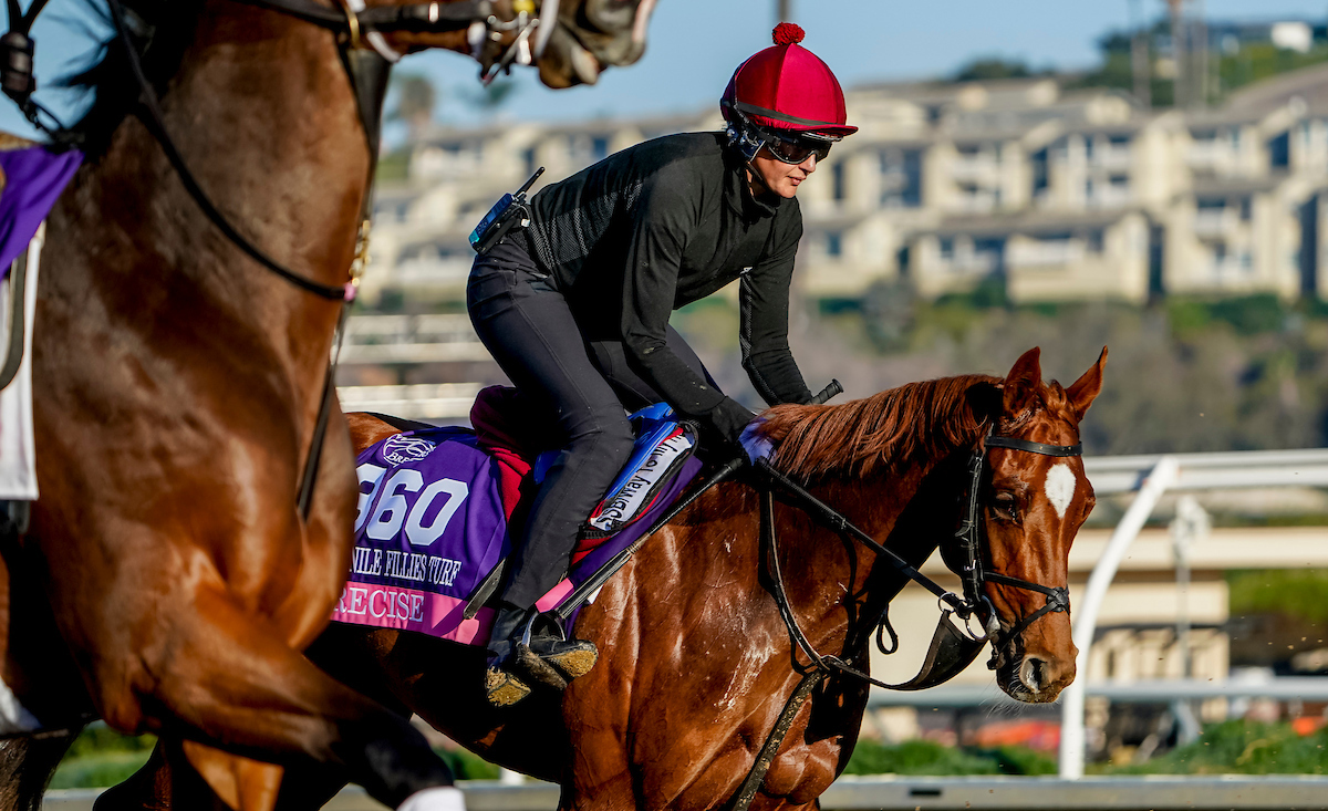 プリサイス(C)Shamela Hanley/Eclipse Sportswire/Breeders Cup