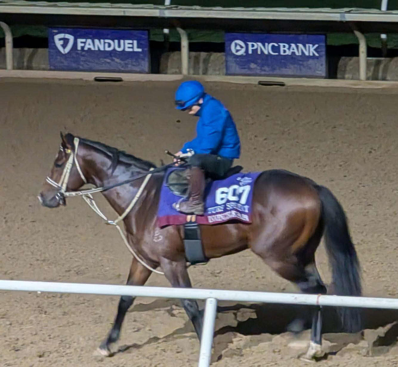 BCターフスプリントに出走するインビンシブルパパはデルマー競馬場のダートコースで最終調整。鞍上は佐々木騎手（伊藤大士調教師提供）