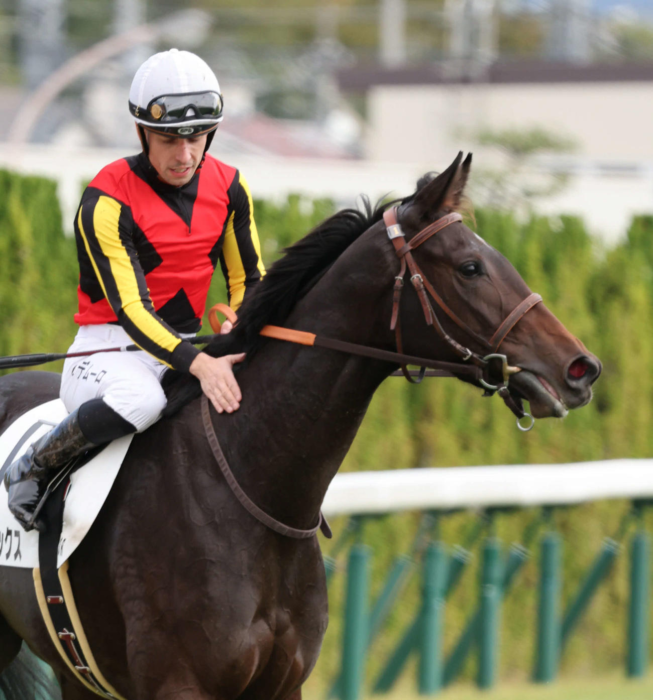 フォルナックスで今回の来日初勝利を挙げたC・デムーロ騎手