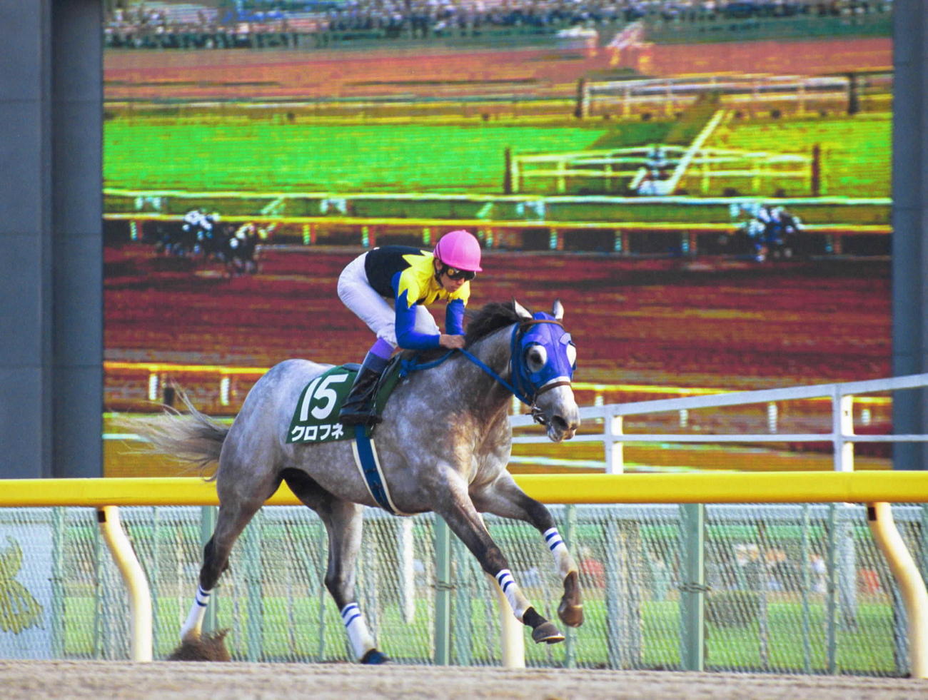 01年武蔵野Sをレコードで制したクロフネ
