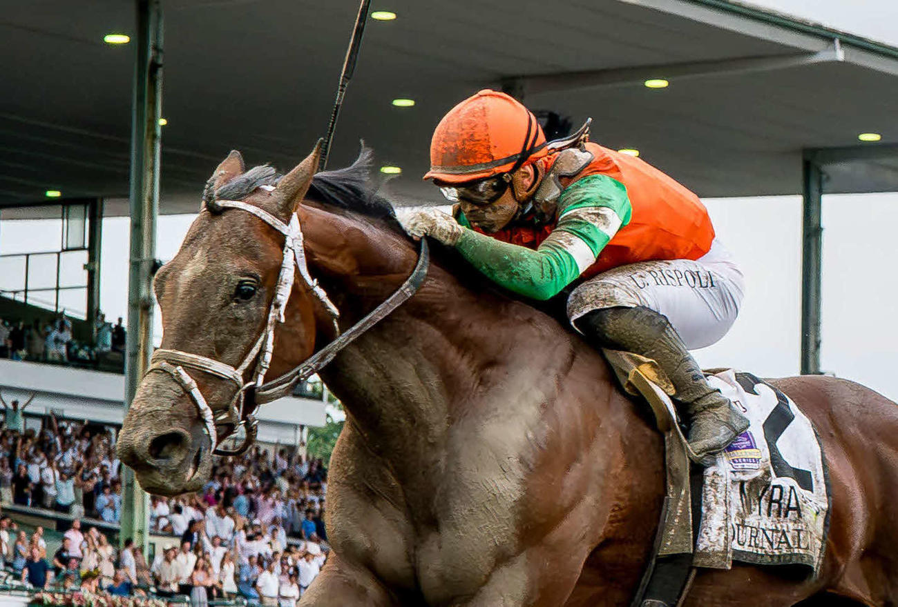 BCクラシックに出走のジャーナリズム（C）Eclipse Sportswire／Breeders' Cup Photos
