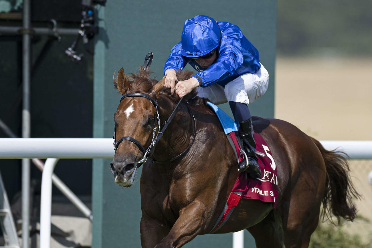 BCマイルに出走のノータブルスピーチ（C）Eclipse Sportswire／Breeders' Cup Photos