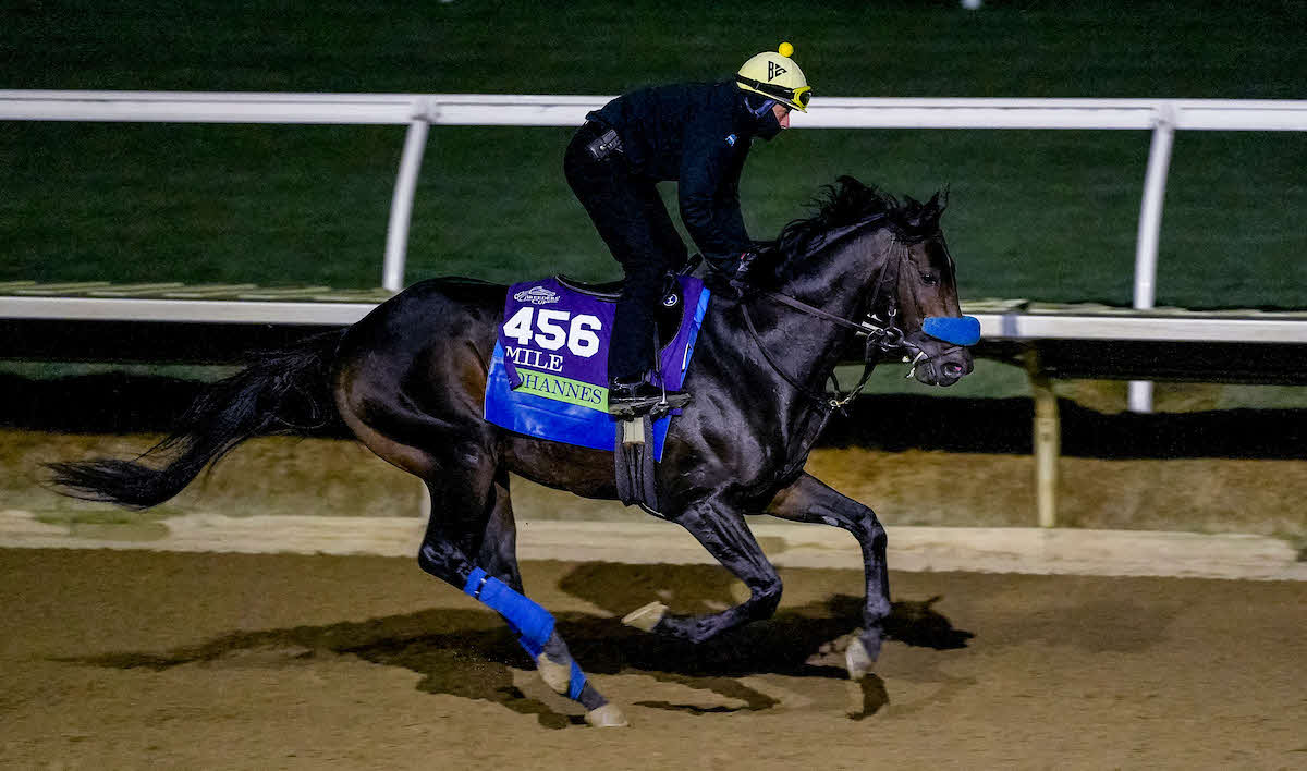 BCマイル出走のヨハネス（（C）Tere Poplin／Eclipse Sportswire／Breeders Cup）