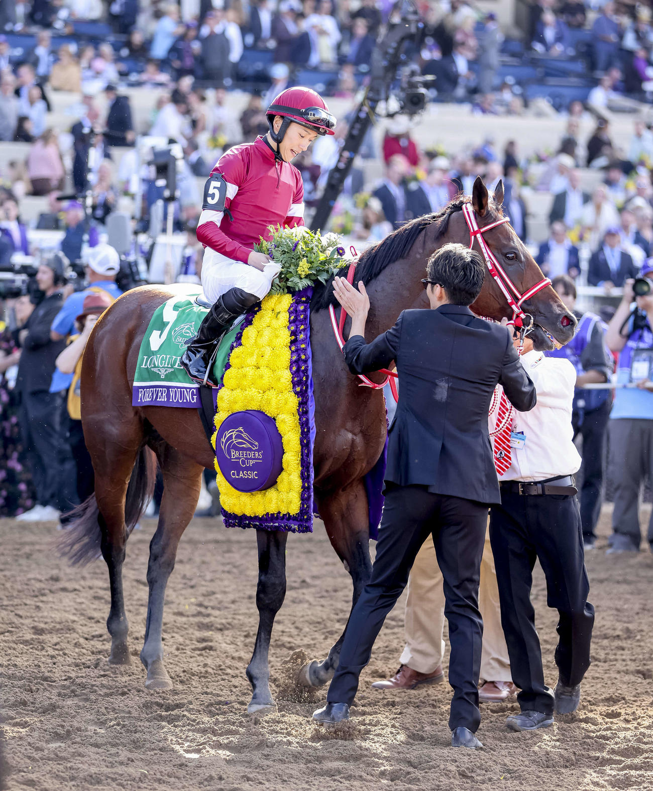 優勝レイをかけられるフォーエバーヤング（C）Kat　Turnbull／Eclipse　Sportswire／Breeders　Cup