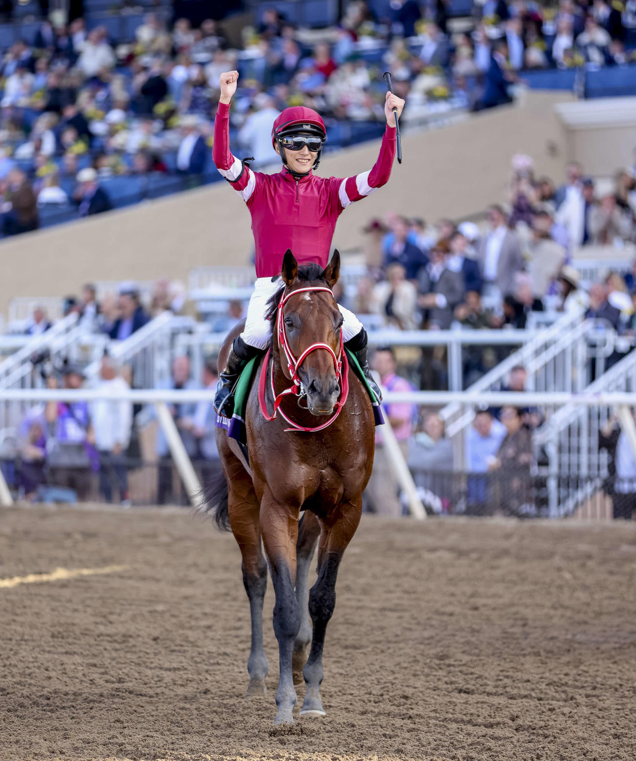 引き揚げてきてガッツポーズする坂井瑠星騎手（（C）Kat Turnbull／Eclipse Sportswire／Breeders Cup）
