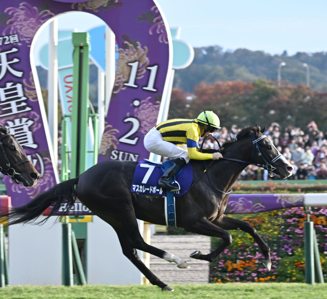 天皇賞・秋を制したマスカレードボールとルメール騎手（撮影・千葉一成）