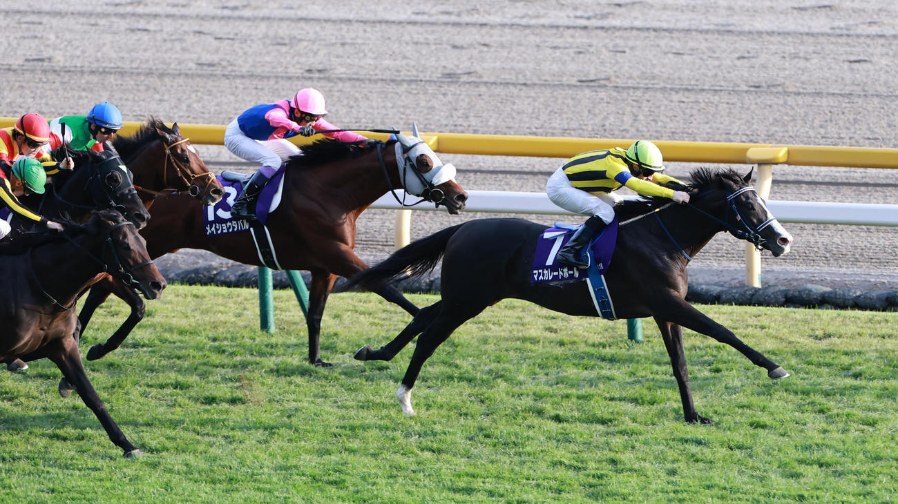 天皇賞を制したCルメール騎乗のマスカレードボール（撮影・野上伸悟）