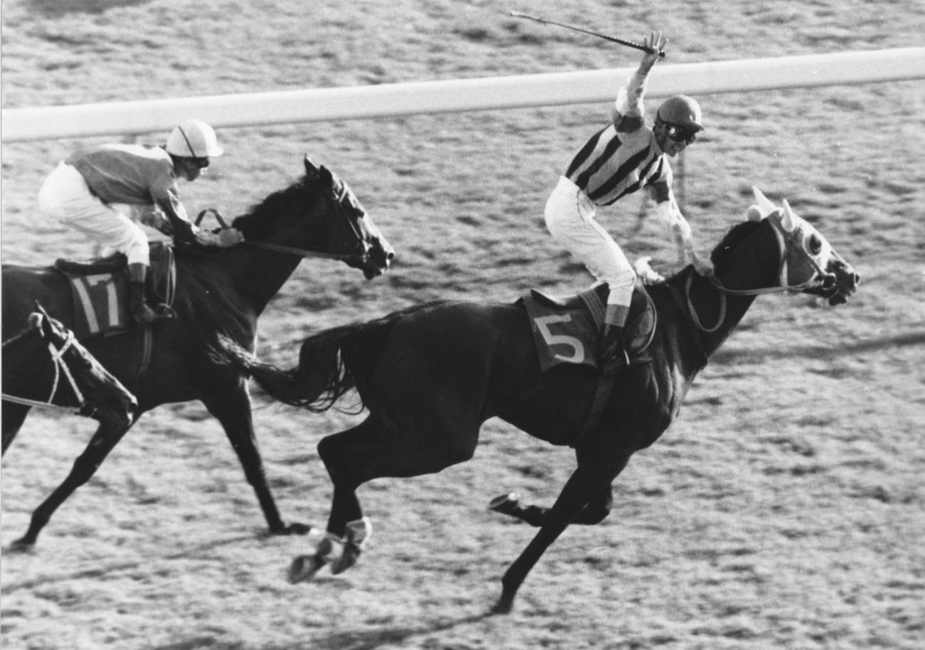 85年天皇賞・秋を制したギャロップダイナ