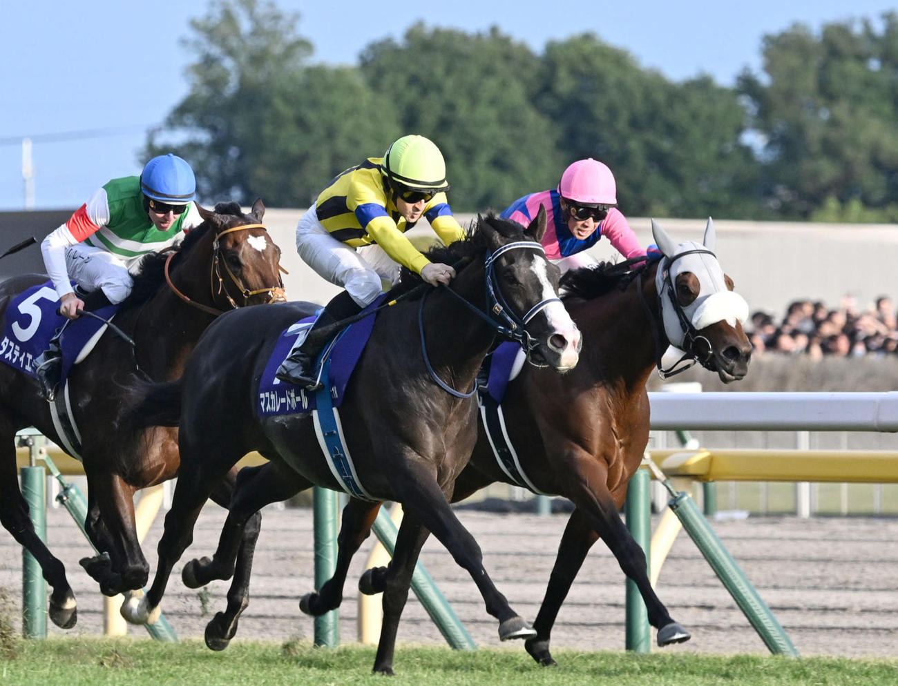 天皇賞・秋6着に敗れたメイショウタバル（右）。中央は勝ったマスカレードボール（撮影・千葉一成）