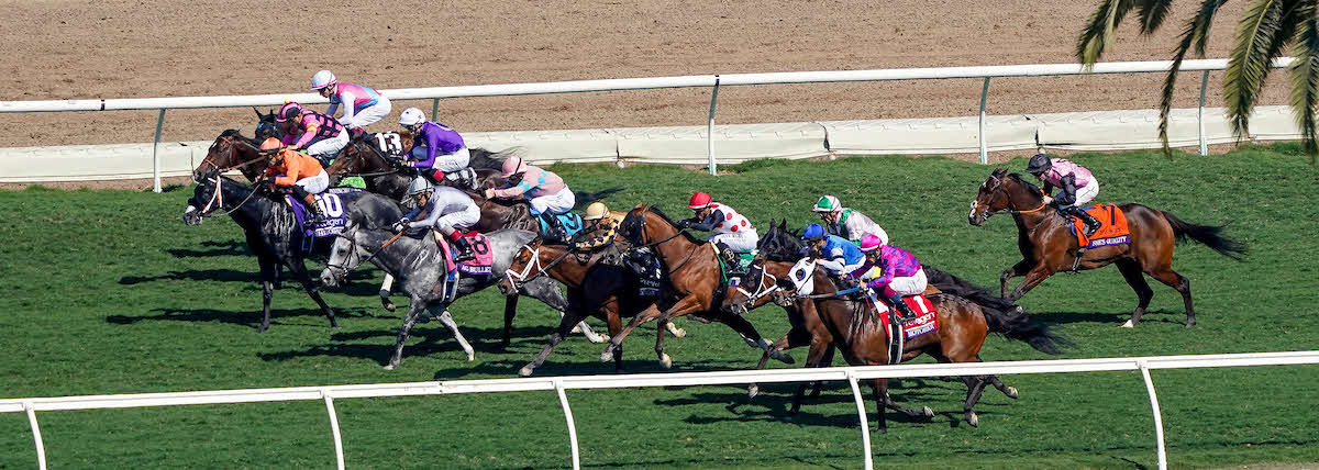 シーズクオリティ（右）（C）Jetta　Vaughns／Eclipse　Sportswire／Breeders　Cup