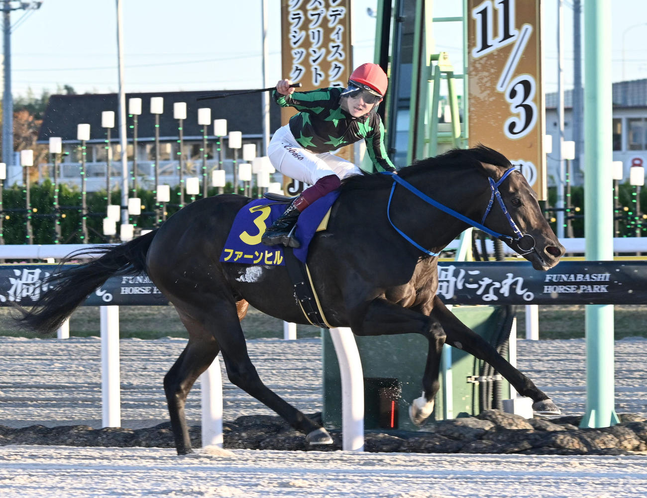 JBCスプリントを制したファーンヒルと笹川騎手（撮影・千葉一成）
