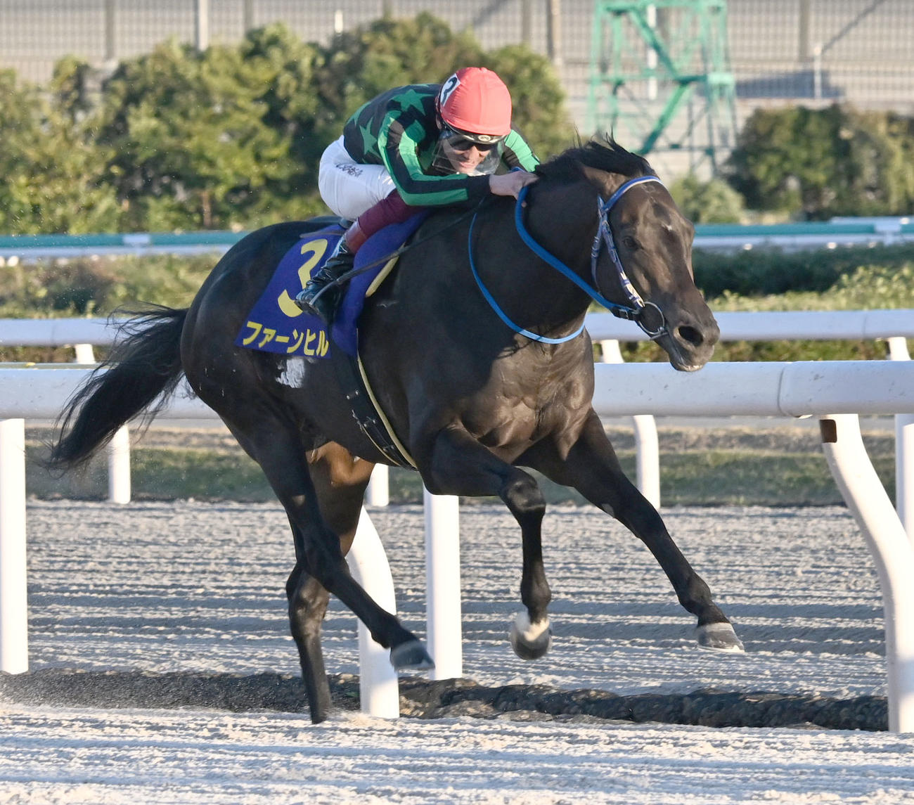 JBCスプリントを制したファーンヒルと笹川騎手（撮影・千葉一成）